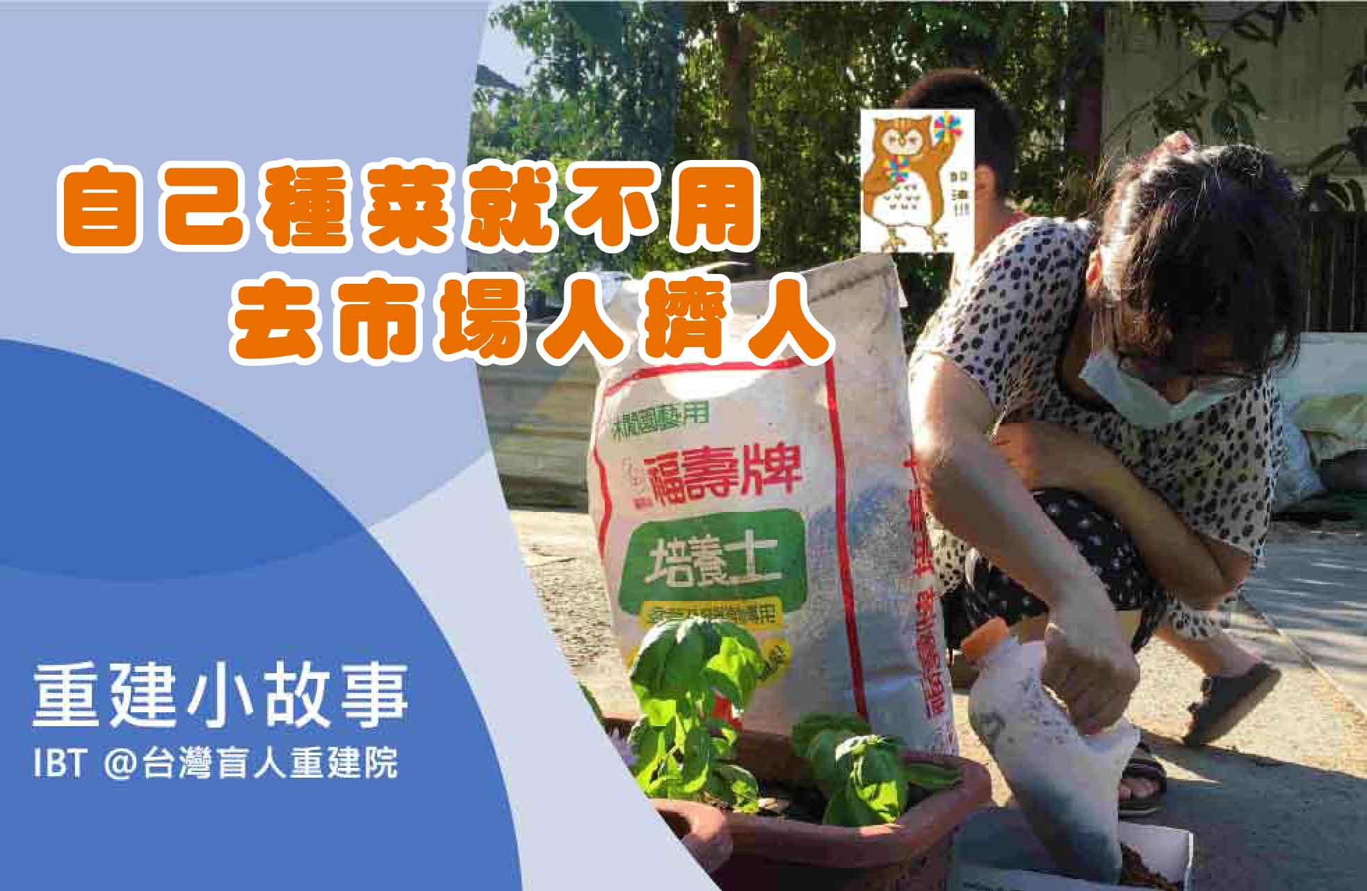 自己種菜就不用去市場人擠人